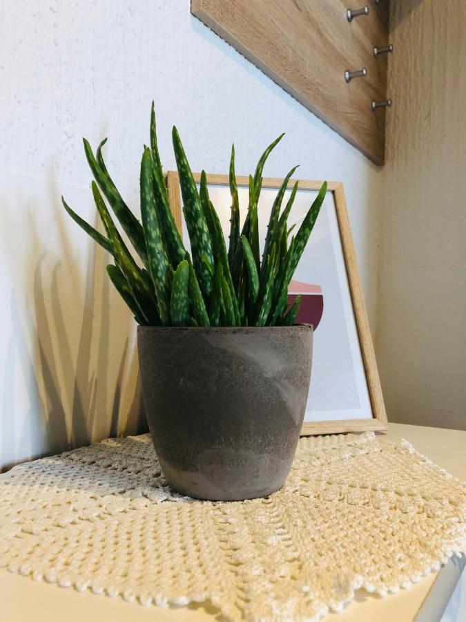 Apartma Domenika Ptuj Eksteriør billede